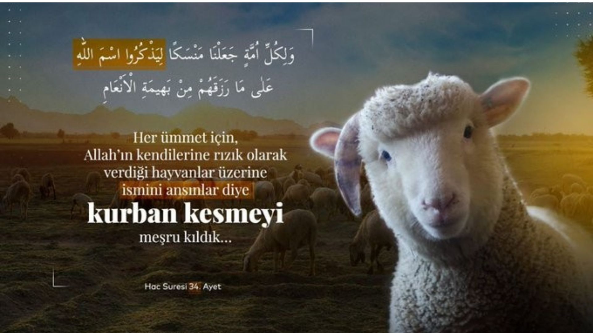 Kurban İbadeti